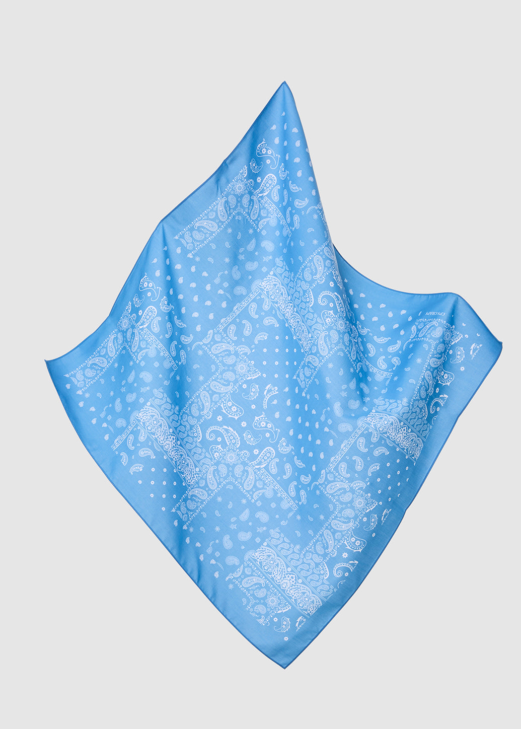 PAISLEY PRINTED SCARF - CPS Chaps Official Store