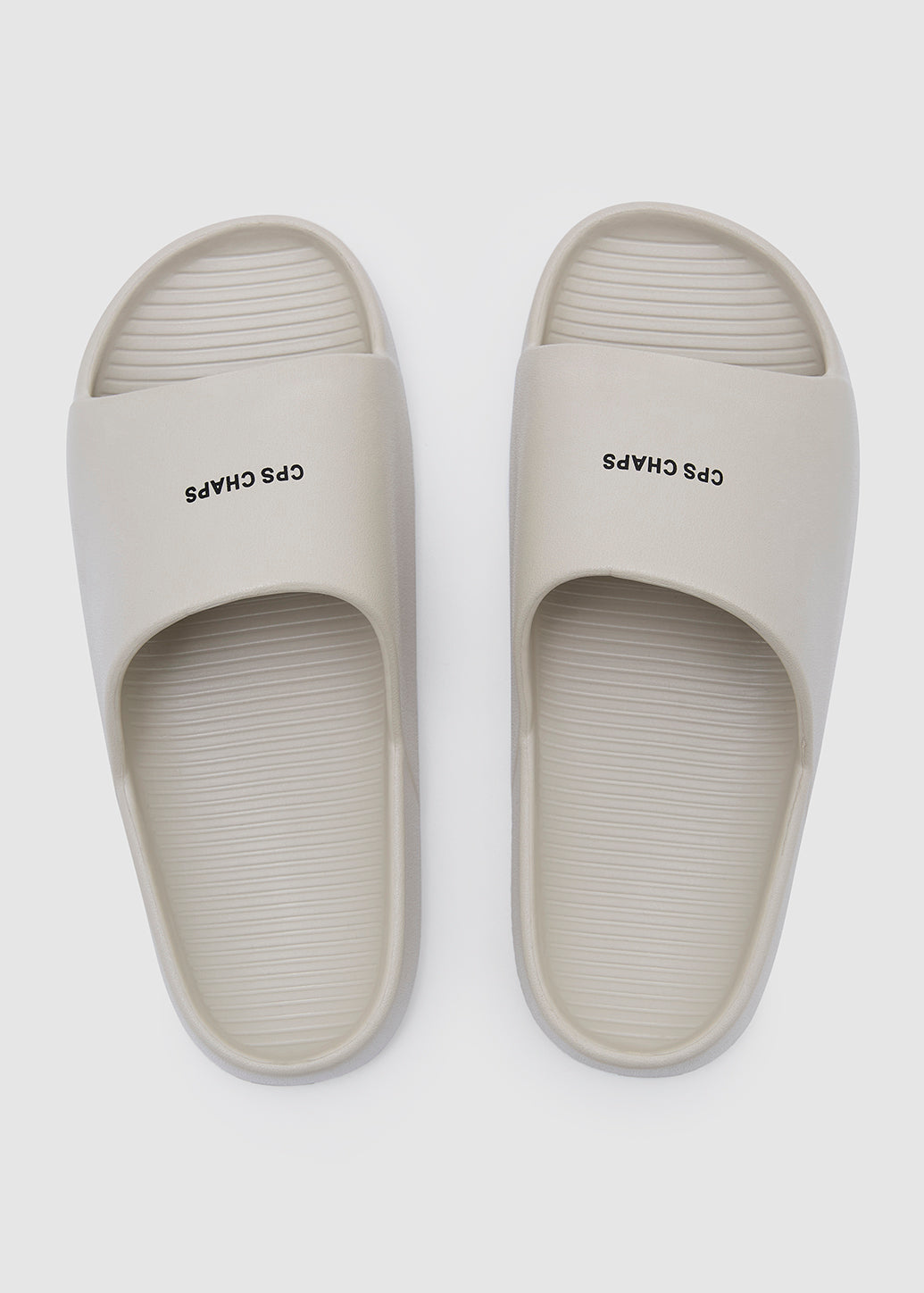CPS CHAPS LOGO SLIDES